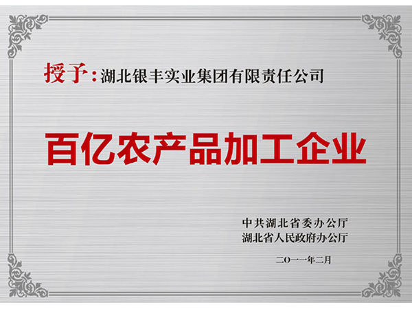 2011年 銀豐集團榮獲湖北省百億農産品加工企業稱号