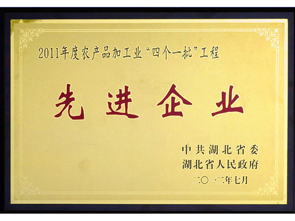 2012年 銀豐集團榮獲湖北省2011年度農産品加工業“四個一批”工程先進企業