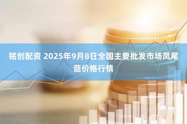 铭创配资 2025年9月8日全国主要批发市场凤尾菇价格行情
