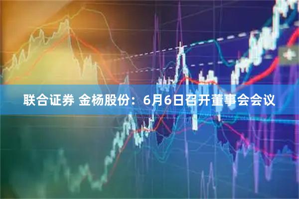 联合证券 金杨股份：6月6日召开董事会会议