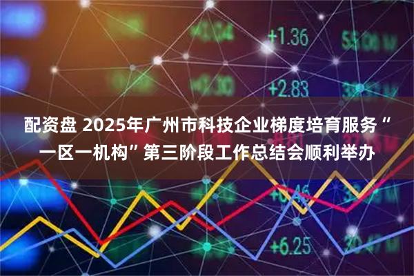 配资盘 2025年广州市科技企业梯度培育服务“一区一机构”第三阶段工作总结会顺利举办
