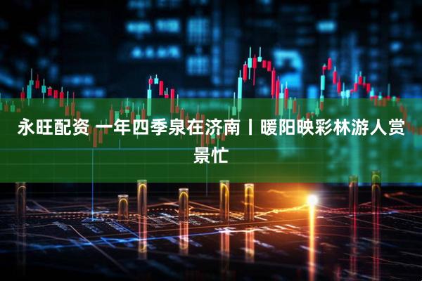 永旺配资 一年四季泉在济南丨暖阳映彩林游人赏景忙