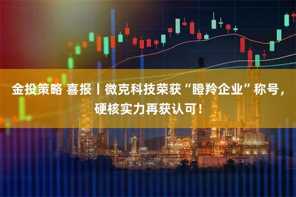 金投策略 喜报丨微克科技荣获“瞪羚企业”称号，硬核实力再获认可！