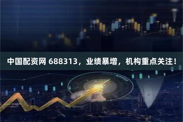中国配资网 688313，业绩暴增，机构重点关注！