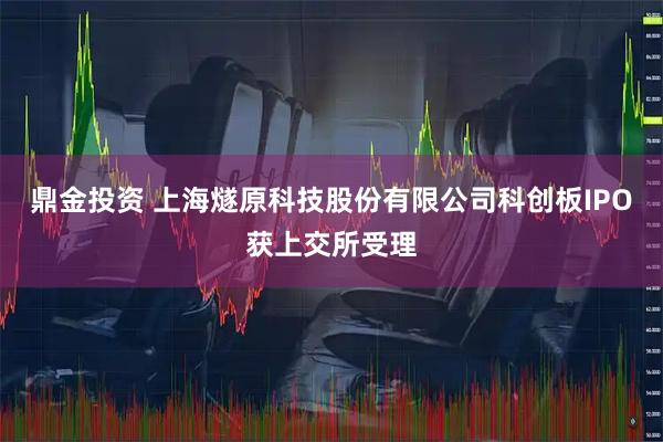鼎金投资 上海燧原科技股份有限公司科创板IPO获上交所受理