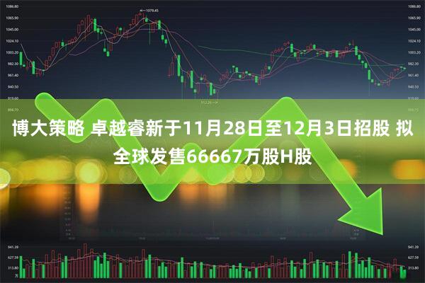 博大策略 卓越睿新于11月28日至12月3日招股 拟全球发售66667万股H股
