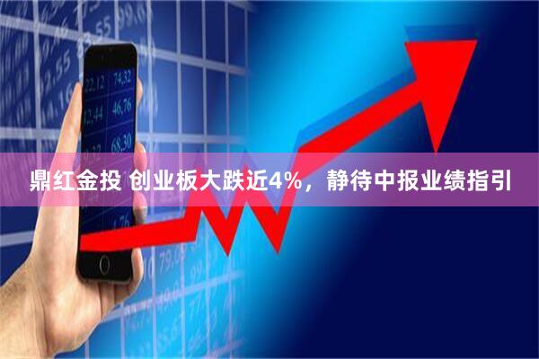 鼎红金投 创业板大跌近4%，静待中报业绩指引